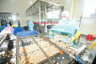 岳陽日報 食品生產(chǎn)安全，守護市民餐桌健康
