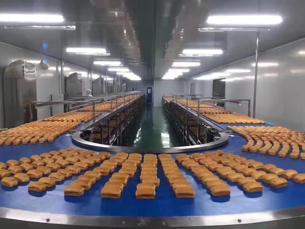食品工廠自動(dòng)化生產(chǎn)線全面升級(jí)，開(kāi)啟高效生產(chǎn)新篇章