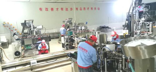 銅梁 龍頭企業(yè)引領(lǐng)，做大做強(qiáng)休閑食品產(chǎn)業(yè)